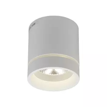 Светильник встраиваемый-накладной Aployt APL.0044.09.05 Gita