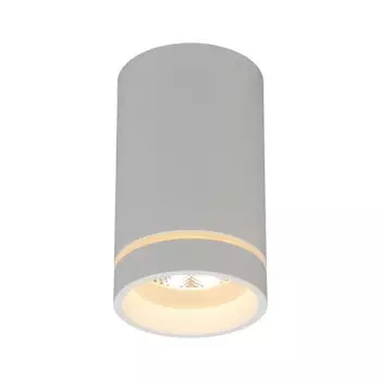 Светильник встраиваемый-накладной Aployt APL.0053.09.10 Edda