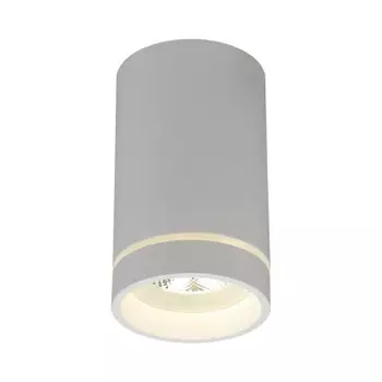 Светильник встраиваемый-накладной Aployt APL.0054.09.10 Edda