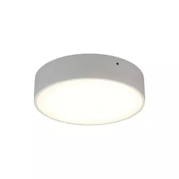 Светильник встраиваемый-накладной Aployt APL.0113.09.18 Evon