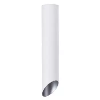 Светильник потолочный Arte Lamp A1536PL-1WH PILON-SILVER