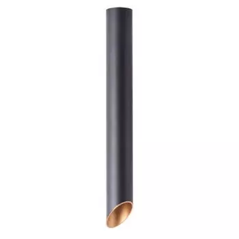 Светильник потолочный Arte lamp A1537PL-1BK PILON-GOLD
