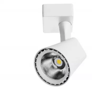 Светильник потолочный Arte lamp A1811PL-1WH AMICO