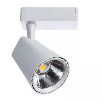 Светильник потолочный Arte lamp A1821PL-1WH AMICO