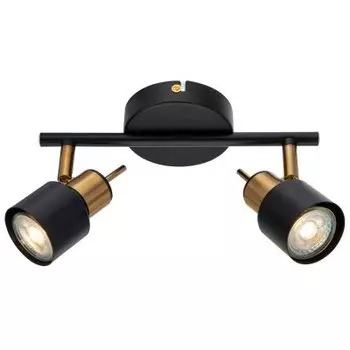 Светильник потолочный Arte lamp A1906PL-2BK ALMACH