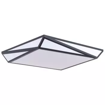 Светильник Arte Lamp A1930PL-1BK