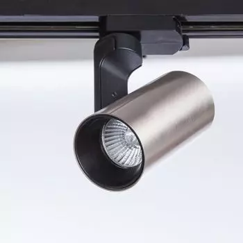 Светильник Arte lamp A2668PL-1SS