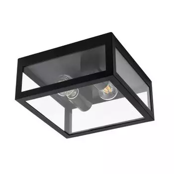 Светильник Arte lamp A4569PF-2BK