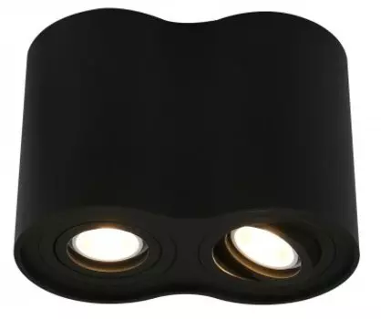 Светильник Arte Lamp A5644PL-2BK
