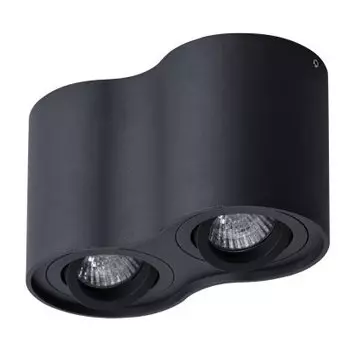 Светильник потолочный Arte lamp A5645PL-2BK FALCON