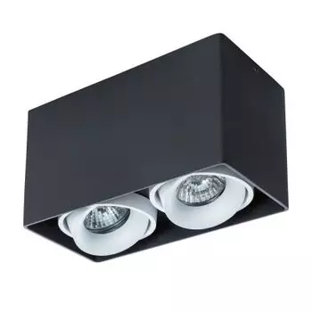 Светильник Arte Lamp A5654PL-2BK PICTOR