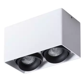 Светильник Arte Lamp A5654PL-2WH PICTOR