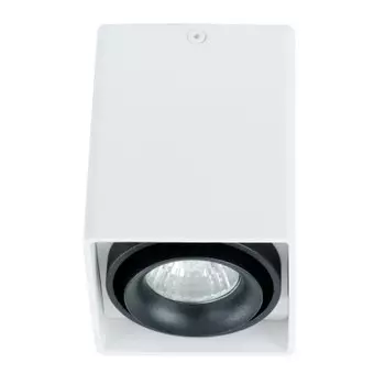 Светильник Arte Lamp A5655PL-1WH PICTOR