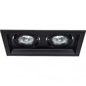 Светильник потолочный Arte lamp A6661PL-2BK CANIS