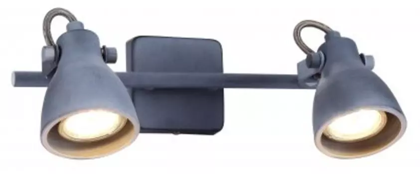 Светильник Arte Lamp A9189AP-2GY