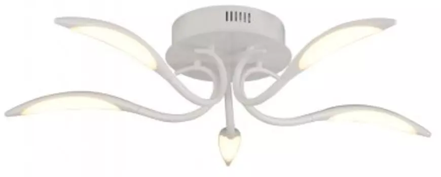 Светильник Arte Lamp A9442PL-5WH
