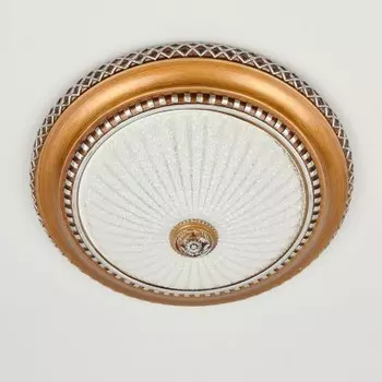 Светильник Citilux CL425352 Тренди-2