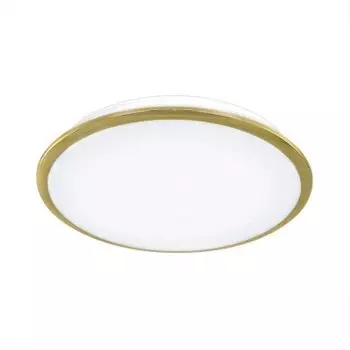 Светильник Citilux CL70342 Старлайт