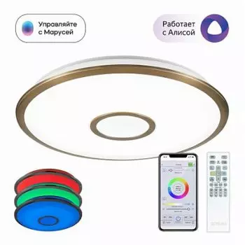 Светильник Citilux CL703A63G