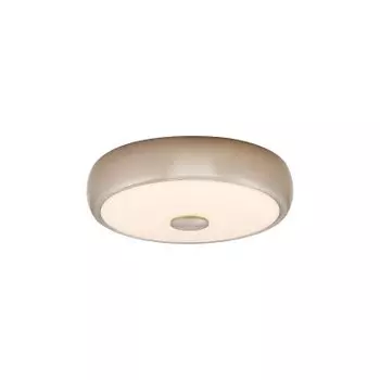 Светильник накладной Citilux CL706321 Фостер-3