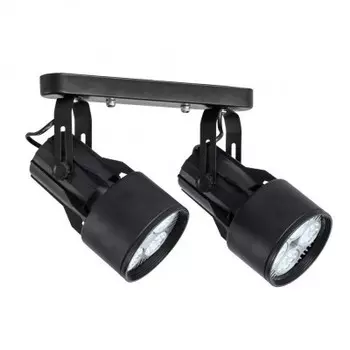 Светильник двойной Arte Lamp A6252PL-2BK