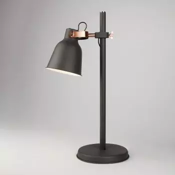 Светильник Евросвет 01031/1 черный