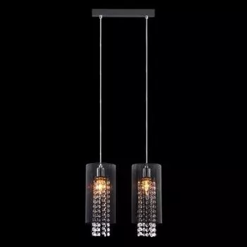 Светильник Евросвет 1187/2 хром