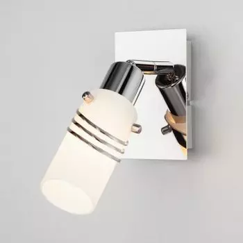 Светильник Евросвет 20003/1 хром