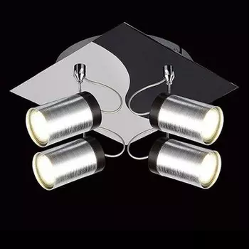 Светильник Евросвет 20044/4 хром/черный