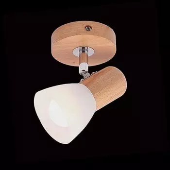 Светильник Евросвет 20045/1 светлое дерево