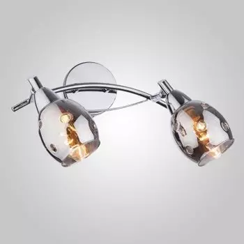 Светильник Евросвет 20050/2 хром