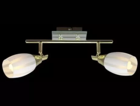 Светильник Eurosvet 20129/2 хром