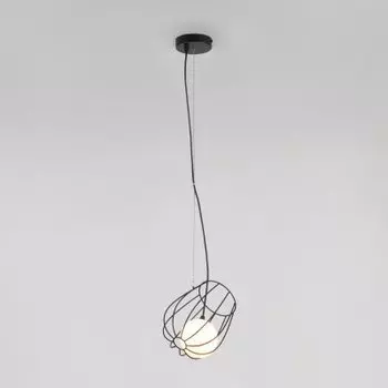 Светильник Евросвет 50138/1 черный