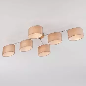 Светильник Евросвет 60083/6 хром