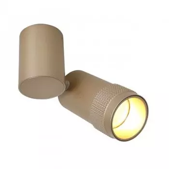 Светильник Favourite 2455-1U
