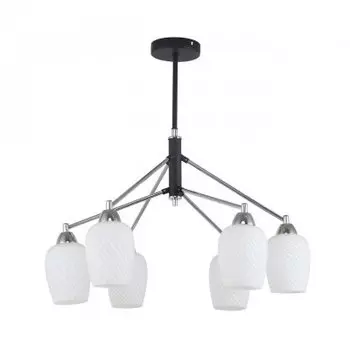 Люстра Favourite 2661-6P