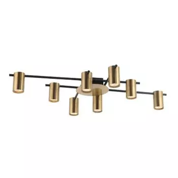 Потолочная люстра Favourite 2827-8P Topper