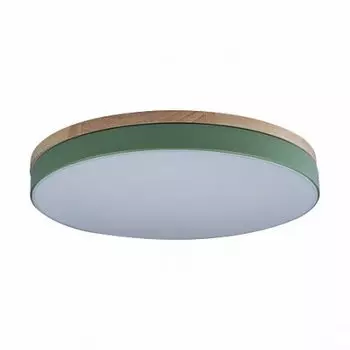 Потолочный светильник Loft it 10001/36 Green Axel