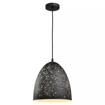 Светильник Lussole Loft LSP-9892