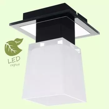 Светильник Lussole GRLSC-2507-01