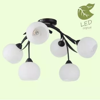 Светильник Lussole GRLSF-6283-06