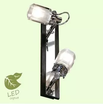 Светильник Lussole GRLSL-7901-02