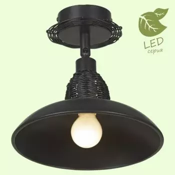 Светильник Lussole GRLSN-1077-01