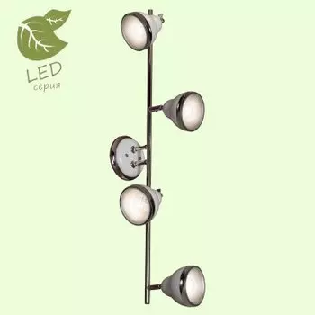 Светильник Lussole GRLSN-6209-04