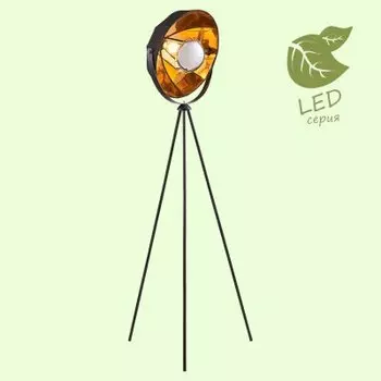 Светильник Lussole GRLSP-0556