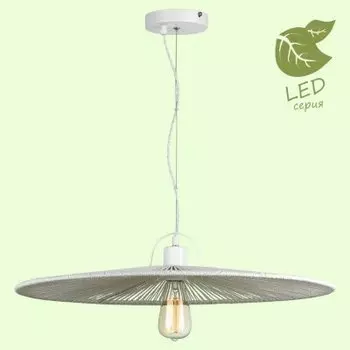 Светильник Lussole GRLSP-9849