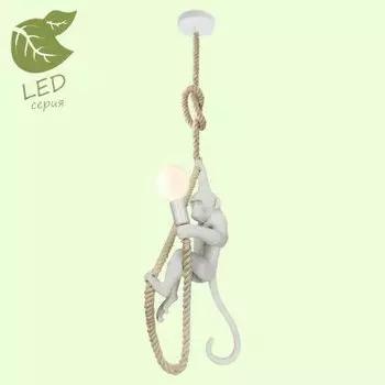 Светильник Lussole GRLSP-9993