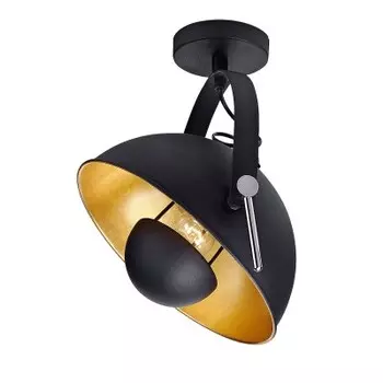 Светильник потолочный Lussole Lussole Loft LSP-9825
