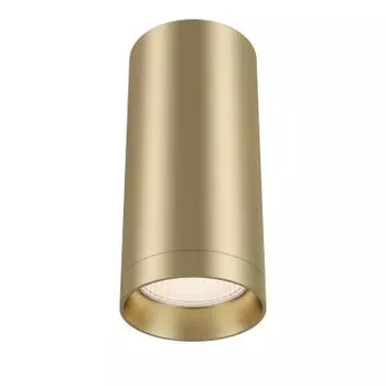 Потолочный светильник Maytoni C010CL-01MG Focus