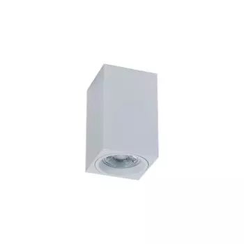 Потолочный светильник Maytoni C011CL-01W Alfa